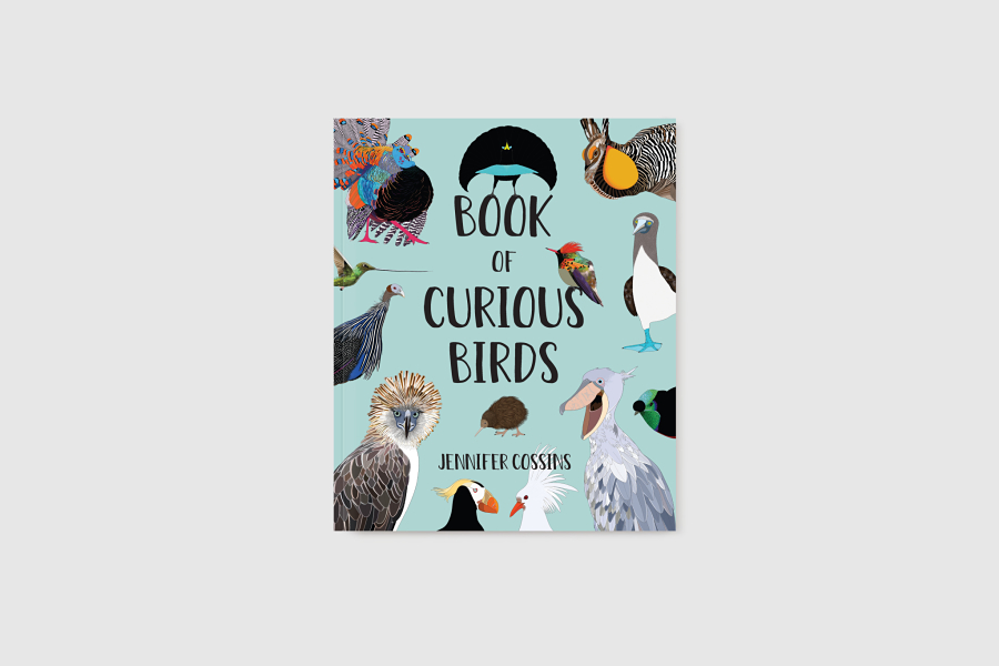 Book of Curious Birds