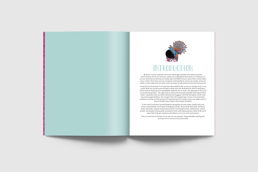 Book of Curious Birds