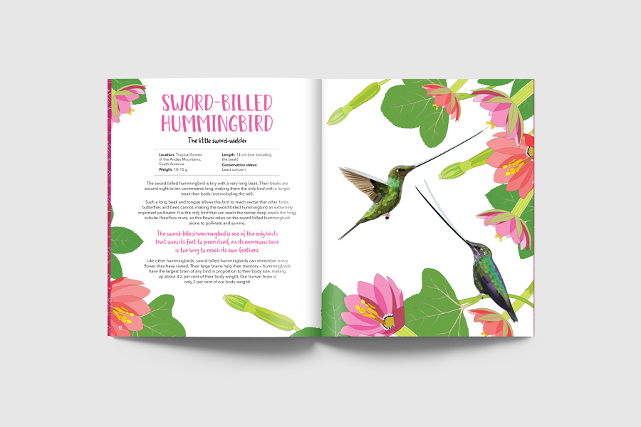 Book of Curious Birds