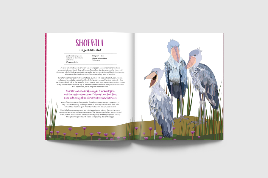 Book of Curious Birds