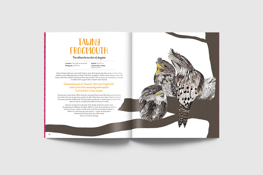 Book of Curious Birds