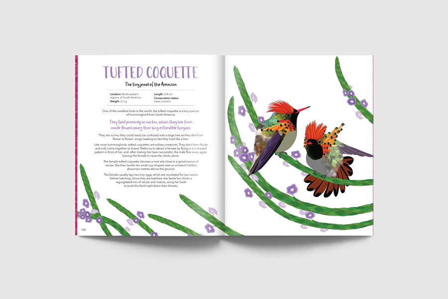 Book of Curious Birds