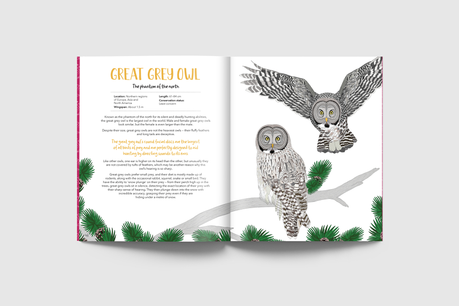 Book of Curious Birds